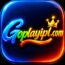 GOPLAY11 IPL